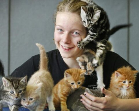 Girl Uses Birthday Money to Rescue 14 Abandoned Kittens: A Heartwarming Tale of Teenage Compassion